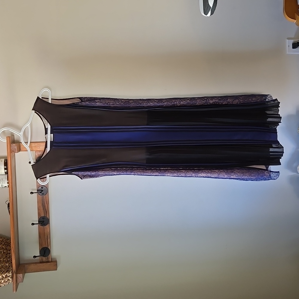 BCBG Maxazria Runway Dress size XXS
